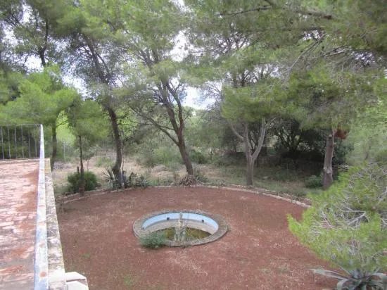 Finca in Bonaire, Alcudia — photo 12