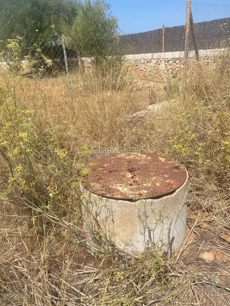 Countryside property in Campos — photo 8
