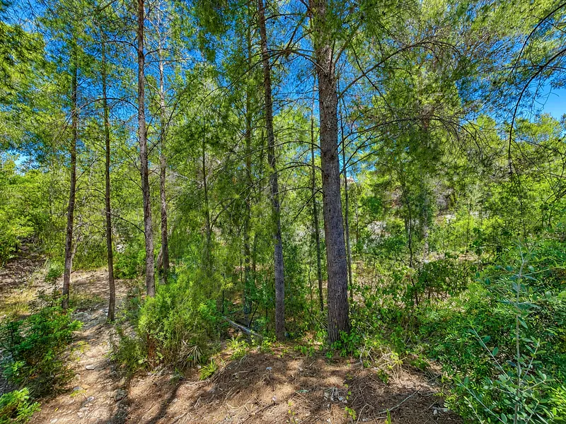 Plot with high investment potential and the possibility to build a new villa in Nova Santa Ponsa — photo 5