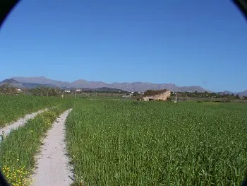 Building Plot for Sale in Alcúdia, Mallorca, Baleares, Mallorca — photo 1