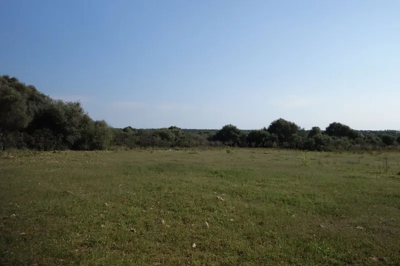 Large finca plot with planning permission and open views near Santanyí — photo 6