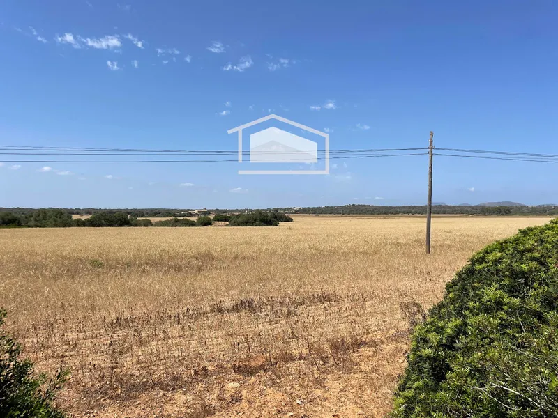 Buildable rustic plot of 16,237 m² in Ses Salines with approved project — photo 6