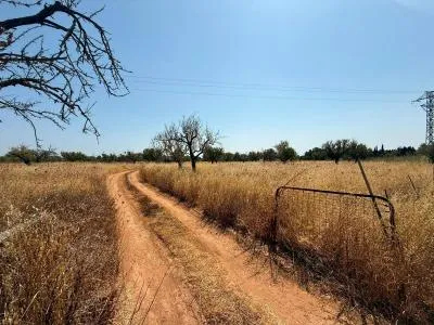 Rustic Land - Consell — photo 1