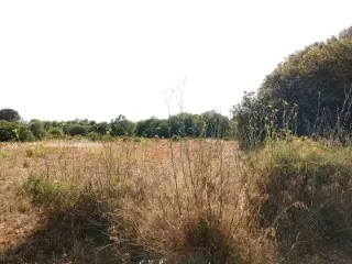Beautifully located plot not far from Porreres Rustic Land — photo 5