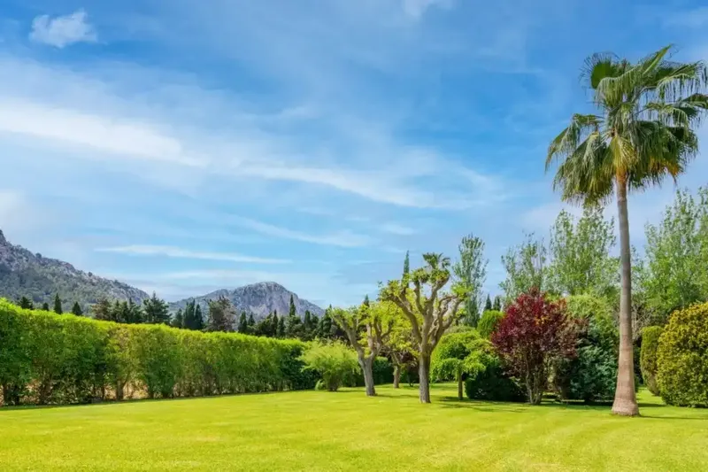 Idyllic and historic property located in one of the most beautiful valleys of the municipality of Pollença — photo 7