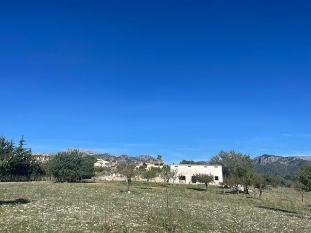 Fantastic investment finca for sale on the outskirts of Moscari, Mallorca — photo 12