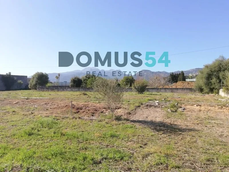 Rustic land not for building in Campanet — photo 6