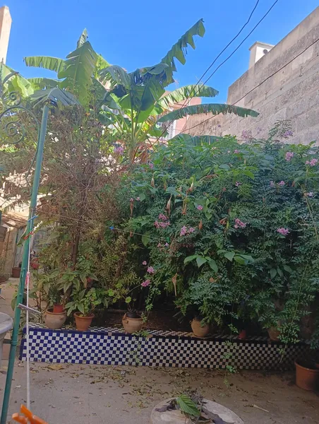 Traditional house with large patio, parking and free roof in Manacor 101CP1273 — photo 12