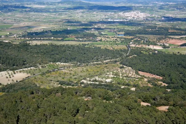 Exceptional country villa project with license for sale in Montuïri, Mallorca — photo 12