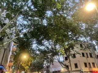 Excellent investment in Plaza Pere Garau — photo 2
