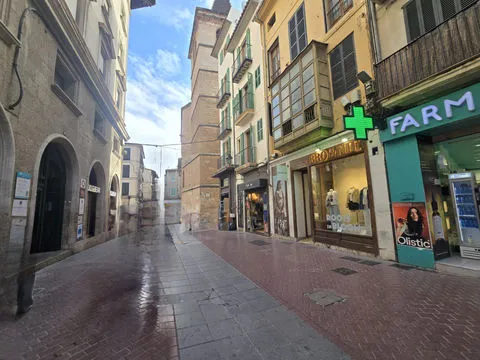 Profitable premises for sale in Plaza de l'Olivar — photo 6