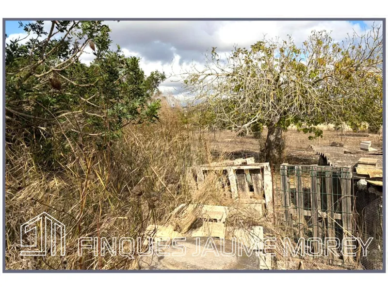 Rustic house — photo 11