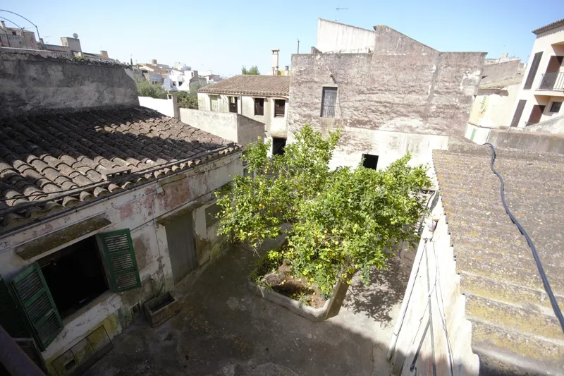 Grand Manor House with Land — photo 10