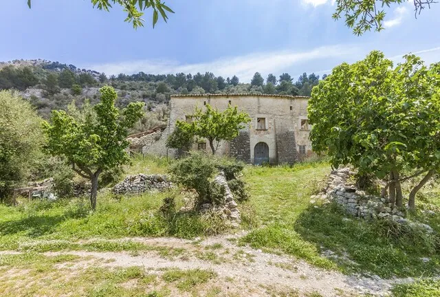 Investment oportunity to reform old finca in the Serra de Tramuntana between Alaro and Orient, Mallorca — photo 4