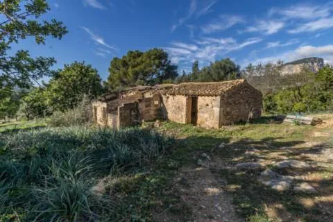 Rustic finca — photo 12