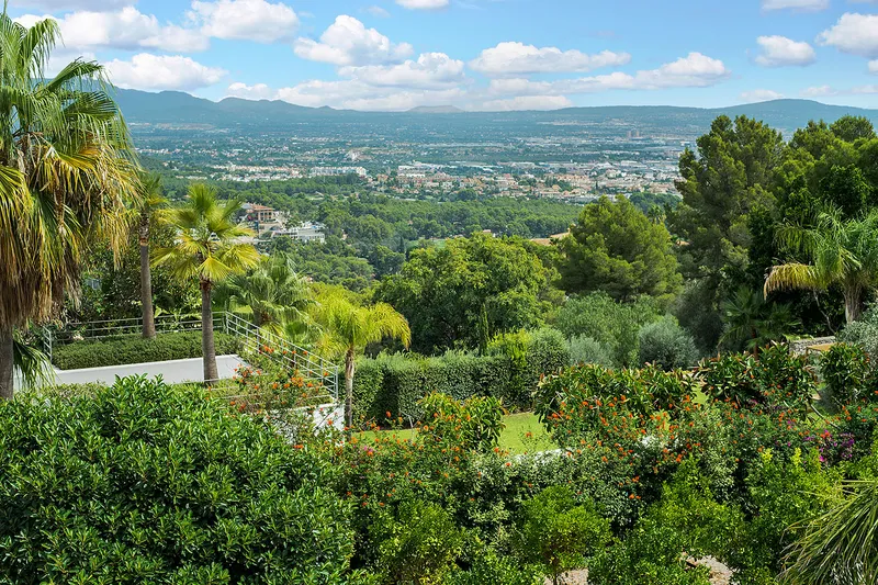 Spacious family villa in a prime location — photo 3