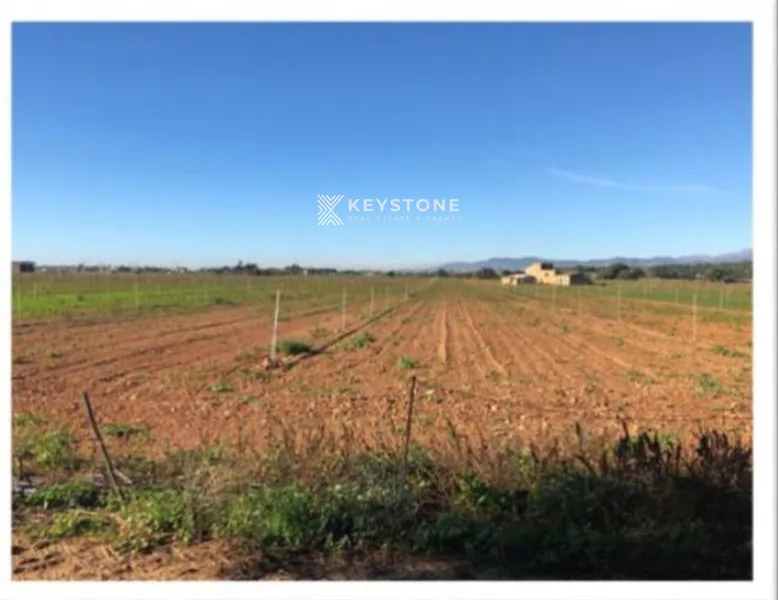 Plot — photo 10
