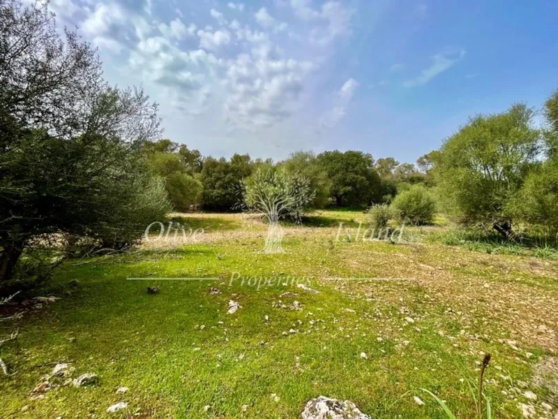 Land in Algaida, Province of Balearic Islands — photo 6