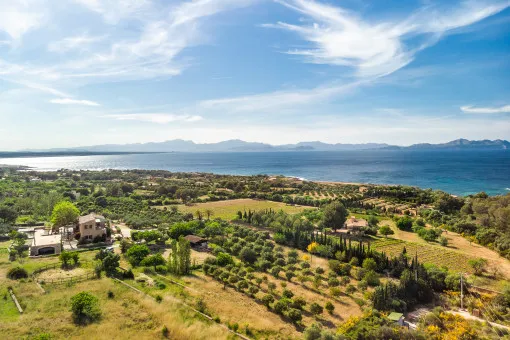 Colonia de San Pedro, villa with sea views, pool and holiday rental license in the Colonia Sant Pere nature reserve — photo 3