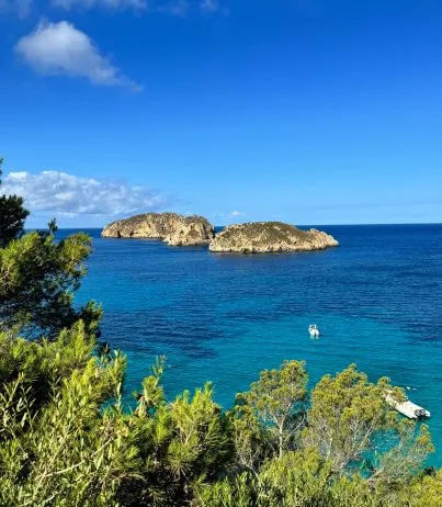 Unique Opportunity: 3 Exclusive Plots with Licenses for Luxury Villas in Santa Ponsa — photo 1
