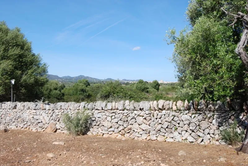 Interesting rustic plot between Santanyi and Es Llombards — photo 4