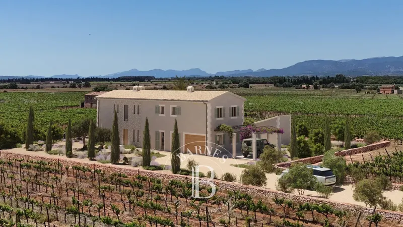 Contemporary Countryside Finca with Vineyard Views Near Sencelles — photo 1