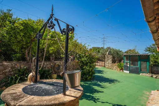 San Lorenzo, traditional finca in the rural and quiet part of Sant Llorenç — photo 5