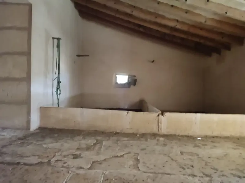Rustic estate for sale in the municipality of Petra, Son Maimo area, known as Son Metlet — photo 12