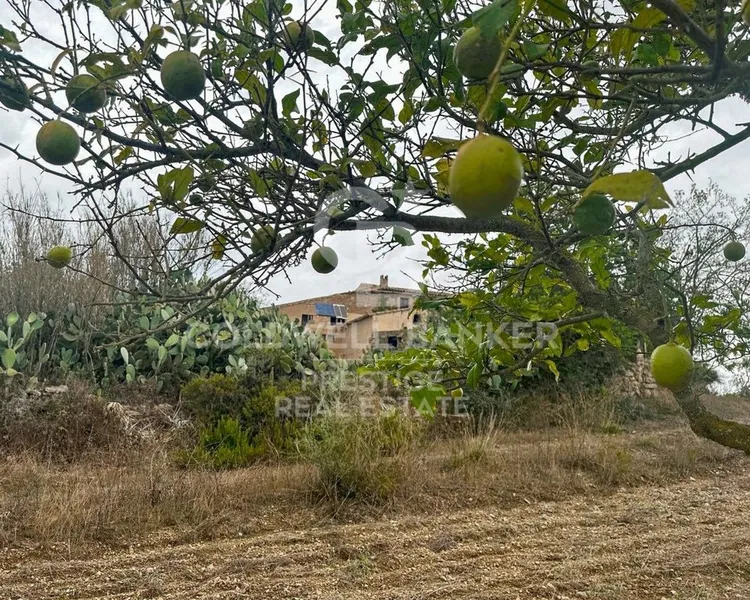 Villa in Artà, Province of Balearic Islands — photo 9