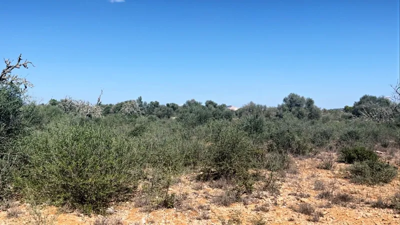 Modern building plot with building licence in Campos — photo 1