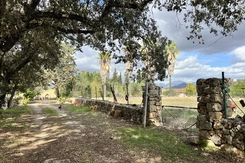 Villa in Costitx, Mallorca — photo 9