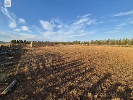Rustic property in Muro, 140 m² built, 18,400 m² plot, 1 room, 1 bathroom — photo 9