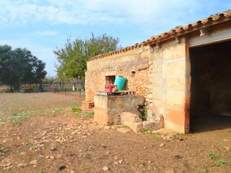 Land in Buger, Mallorca — photo 4