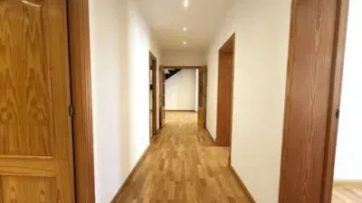 Apartment in La Llotja-Born — photo 4