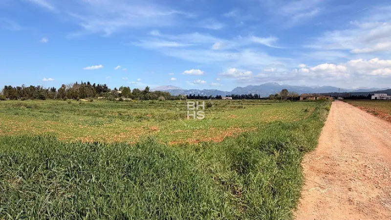 Country plot for sale in Llubí — photo 1