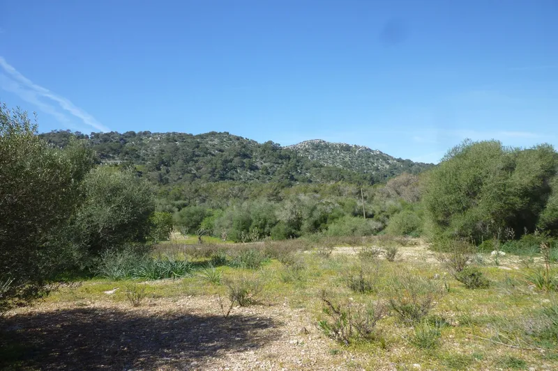 Large building plot for finca project in a quiet location near Son Macià — photo 4