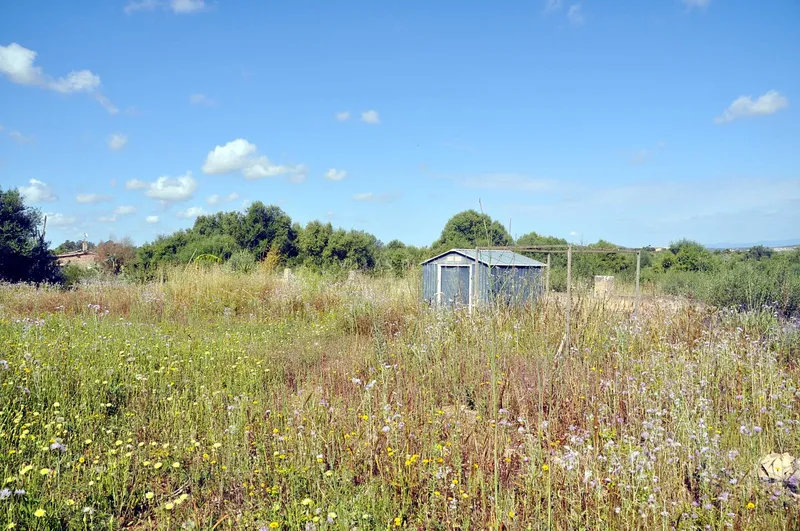 Country plot with project — photo 12