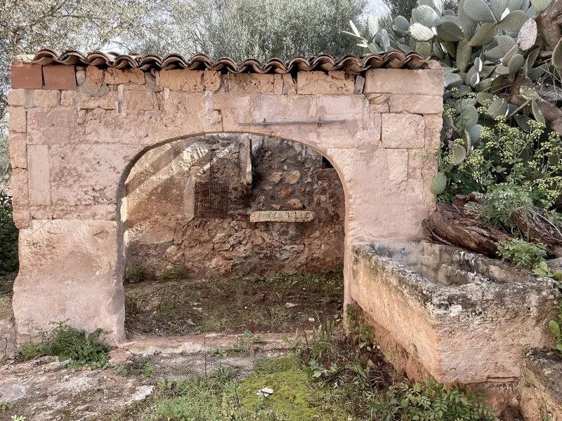 Rustic finca for full renovation with distant views of the Sierra de Tramuntana, Campos — photo 8