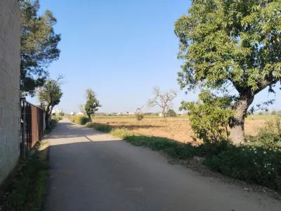 Rural Land - Campos, Plot Surface 2406m² — photo 9