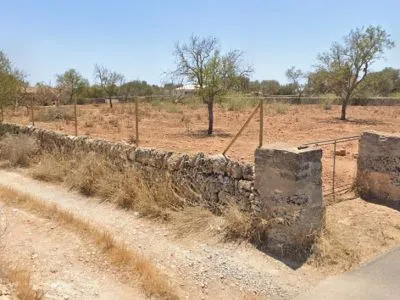 For rent: Plot of 5,000 m² with small house in Santanyí – Ideal for horses — photo 3