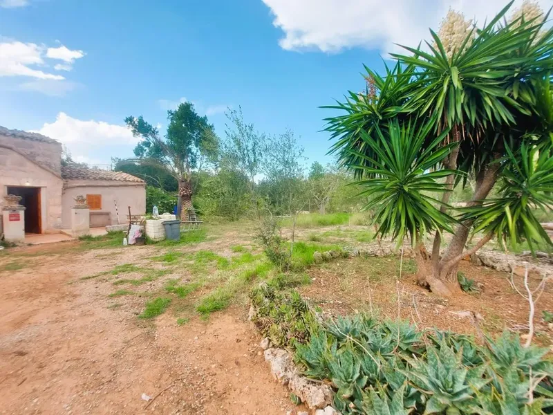 Cortijo in Muro, Mallorca — photo 1