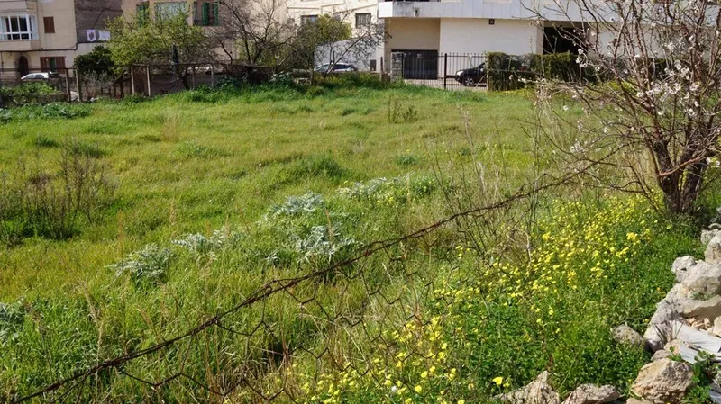 Land in Lloseta, Province of Balearic Islands — photo 3