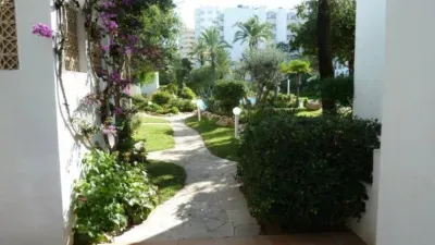 Apartment in Son Servera — photo 3