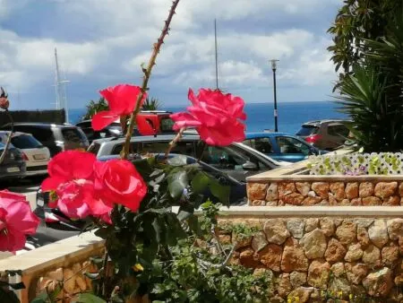 Ground floor apartment - Calvià (Port Adriano), built surface 105m2, terrace size 15m2, 2 bedrooms, 1... — photo 8
