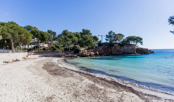 Opportunity in Portals Nous: House with Great Potential Near the Sea — photo 6