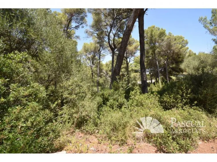 Plot on the coast of Canyamel for investment — photo 1