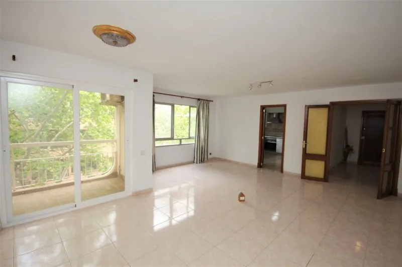 22035V- Amplio Piso en zona Plaza Toros - Palma — photo 1