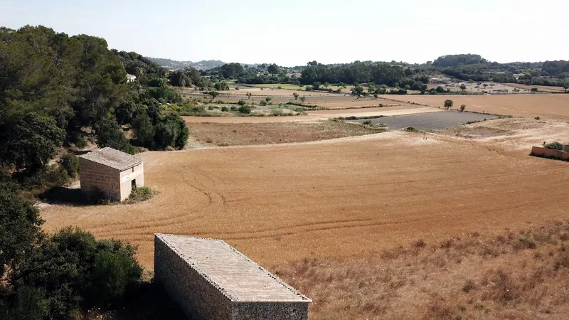 Finca in Lloret de Vistalegre - Exclusive country house with pool — photo 9
