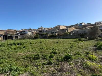 Building Site - Montuïri — photo 4