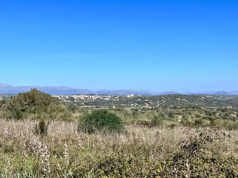 We are in Petra, in the middle of Pla de Mallorca, in a privileged setting with panoramic views, views of Ariany, Maria de la Salut — photo 6